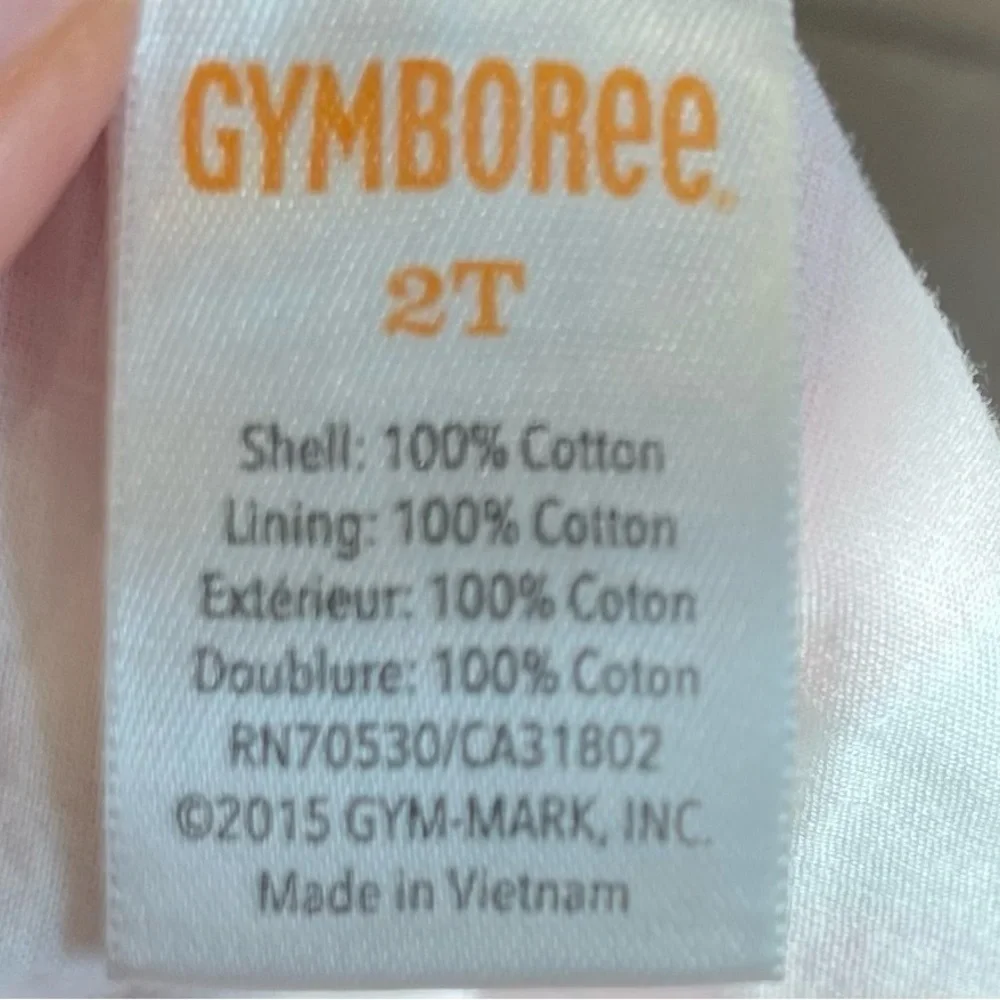GYMBOREE Dress Child Size 2T Pink Floral Picnic Party Special Occasion dress